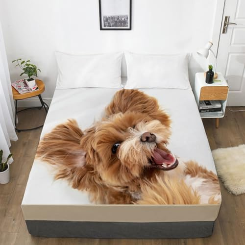 Spannbettlaken 80x200 Hund Weiß Braun Bettlaken 80x200cm Bed Linen Polyester Bettlaken Atmungsaktiv Matratzenbezug 30cm Tiefe Bed Sheets Weich und Knitterfrei Spannbetttuch