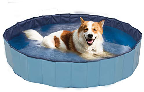 CROCI Explorador de Piscina para Perros, 120 x 30 cm