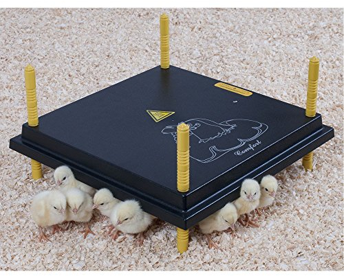 Olba Küken-Wärmeplatte Comfort 30 x 30 cm mit Regler - 20 Watt, Heizplatte, Kükenwärmer, Wärmelampe, Kunstglucke