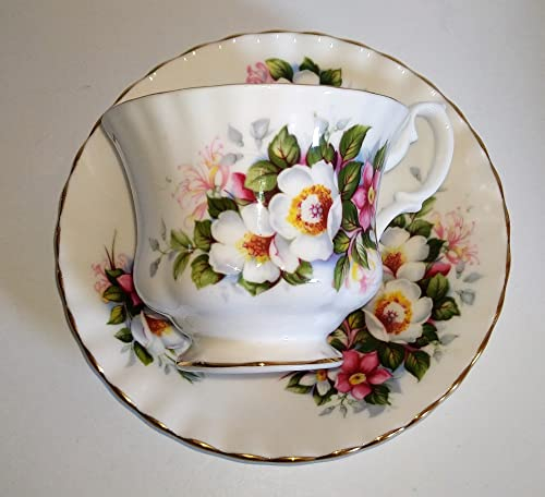 AngiesStrickZauber - Royal Albert - Tazza da collezione Woodborough con piattino - Porcellana ossea - Bianco - Rotondo - 8,5 cm Ø superiore/7 cm di altezza - 14 cm di diametro - Lavaggio a mano