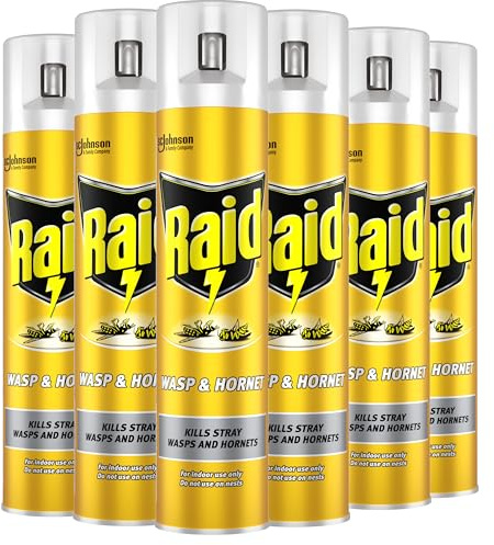 Raid Wasp & Hornet Killer, Fast Acting Aerosol Wasp Killer for Indoor Use, Pack of 6 (6 x 300ml)