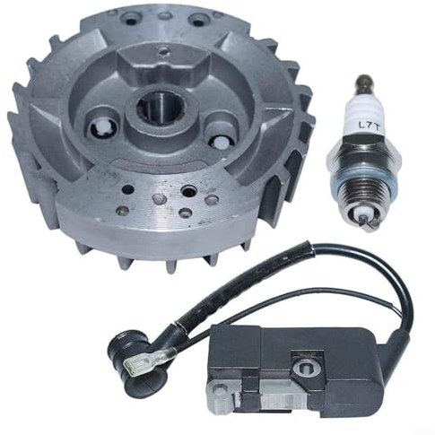 Hasaller Motore per motosega per kit di accensione Volano per bobina di accensione Set per motosega da 45 cc, 52 cc, 58 cc, per kit bobina di accensione con volano compatibile con modelli 4500 5200