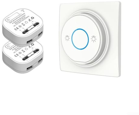 Besshepplo Batteriefreies kabelloses Lichtschalter-Set mit RF433-Technologie, V2 flammhemmende Materialien, Acrylglasscheibe, 30 m Signalreichweite für Haus und Garten (2 Schalter, 1 Empfänger)
