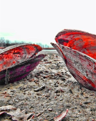 1000 Pièces Jigsaw Puzzle - Idéal pour Un Cadeau-Coquille,Sable,Boue 70x50cm