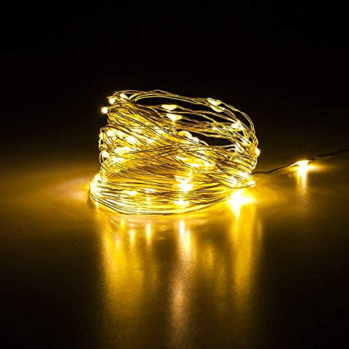 Micro LED Lichterkette warmweiß Metall 10 20 40 80 oder 100 LED | warmweiß | wahlweise mit Timer, Batterie oder strom betrieben (warmweiß, 100 LED)