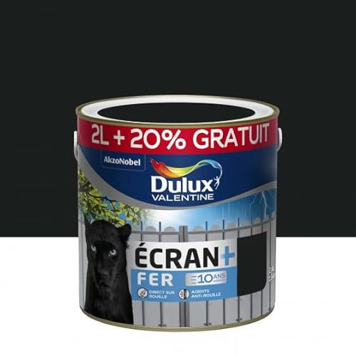 Dulux Valentine Peinture Écran + Fer Noir