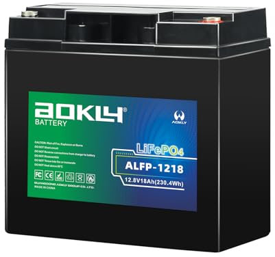 AOKLY 12V 18Ah Lithium Ion Rechargeable LiFePO4 Battery (Bolt Terminals) LFP Replacement for General Purpose, Universal Power, Home & Camping Devices