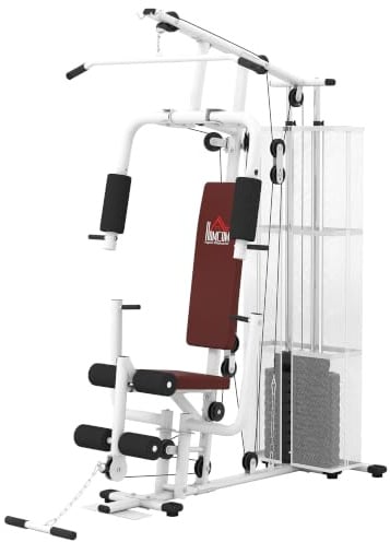 HOMCOM Stazione Fitness con Pull Down per Home Gym 150x110x210 cm Bianco | Chest Press, Flessioni, Allungamenti delle Gambe, Vogate, Palestra Multifunzione in Acciaio, Peso di 45 kg, Casa