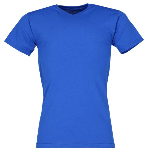 Fruit Of The Loom Valueweight V-neck t-shirt (L, Royal Blue)