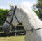 Rhinegold 0 Anatomic Cavesson Bridle-Full-Black Trense, Schwarz, Volle Größe