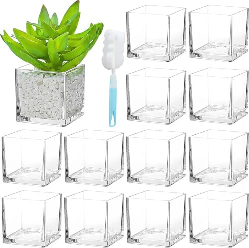 Lot de 12 vases carrés en verre transparent de 7,6 x 7,6 cm avec brosse éponge pour centres de table de mariage, décoration d'intérieur, événements
