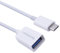 TechExpert Cable OTG Data USB 3.1 Type C Male vers USB 3.0 Femelle Blanc Compatible avec Tous Les appareils avec Un Port USB Type C OTG