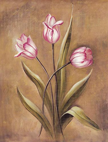 GDNUCLKE Peinture Par Numero Adulte Animaux,Peinture A Numero Adulte,Diy Peinture Numero,Avec Pinceaux Et Pigment Acrylique-Peinture À L Huile De Tulipe Rose