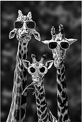 Leinwandbild Giraffen mit Sonnenbrille Lustige Kunst Leinwand Gemälde Schwarz-Weiß-Tiere Poster und Drucke Wandkunst Bilder Wohnkultur 80x120cm/31.5x47.2 Rahmenlos8
