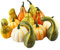 12Pcs Artificial Pumpkins and Gourds Lifelike Simulation Fake Vegetables for Decorating Fall Craft Thanksgiving Wedding Centerpieces Home Party Decor,Autumn Halloween Christmas Decorations (#1)