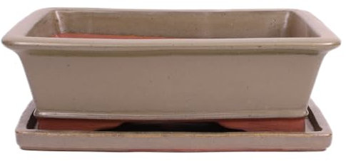 Bonsai - Schale eckig 38 x 29 x 12 cm Oliv mit Untersetzer 41123