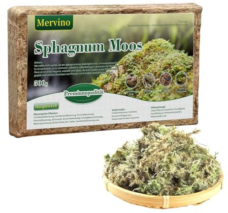 Mervino 500g Premium Sphagnum Moos Hochwertiges Torfmoos in Großer Packung Ideal für Orchideen, Pflanzen, Terrarien Besonders Schimmelresistent & Langlebig