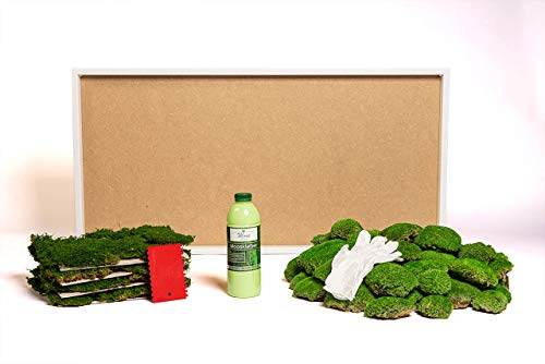 DIY Moosbild selber machen, Wandbilder selber kleben, Moosbilder selbst gestalten Do it yourself Set Moos kleben Wanddeko selbst herstellen Komplett-Set Holzrahmen (weiß, 110 x 55 cm)
