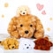 Skylety 5 Stück Hunde Kuscheltiere für Kinder 1 Große Hundemama mit 4 Mini Hundebabys Niedliches Weiches Plüsch Welpen Kuscheltiere Geschenk für Geburtstag Weihnachten Kindertag (Golden Retriever)