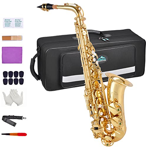 EastRock Alt Saxophon Students Altsaxophon Goldlack mit Hartschalenkoffer, Mundstück, Mundstückpolster, weißen Handschuhen,Riemen,Geeignet für Anfänger, Erwachsene, Profi-Künstler (Gold)