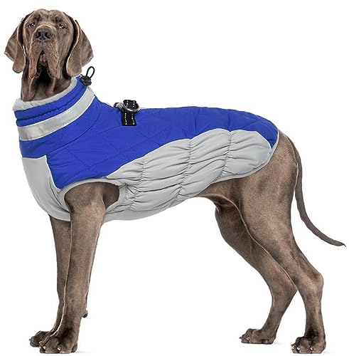Hjumarayan Hundemantel für Kleine Mittelgroße Grosse Hunde, Hundejacke Warme Hundeweste Wintermantel Hund Wasserdicht Hunde Mantel Gefüttert, Hundemantel Französische Bulldogge (Blau L)