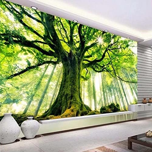 3D Wandbild Tapete Naturlandschaft Hohe Alte Bäume Fototapete Für Wände 3D Wohnzimmer Sofa Hintergrund *150cmx105cm(59.1x41.3inch)