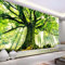 3D Wandbild Tapete Naturlandschaft Hohe Alte Bäume Fototapete Für Wände 3D Wohnzimmer Sofa Hintergrund *150cmx105cm(59.1x41.3inch)