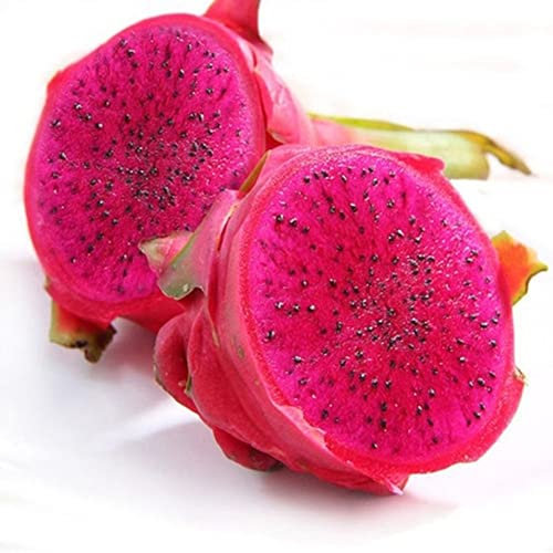 Haloppe 100 Unids Semillas de Fruta Pitaya para la Plantación de Jardín en Casa, Semillas de Pitaya de Color Mezclado Fruta Deliciosa Planta de Bonsái Decoración de Jardín en Casa Semillas de pi