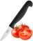 Taylors Eye Witness Element Vegetable Prep Knife - 6cm Cutting Edge with an Ultra Fine, Pointed Blade, Precision Ground from High Carbon Stainless Steel. 50 Year Guarantee.