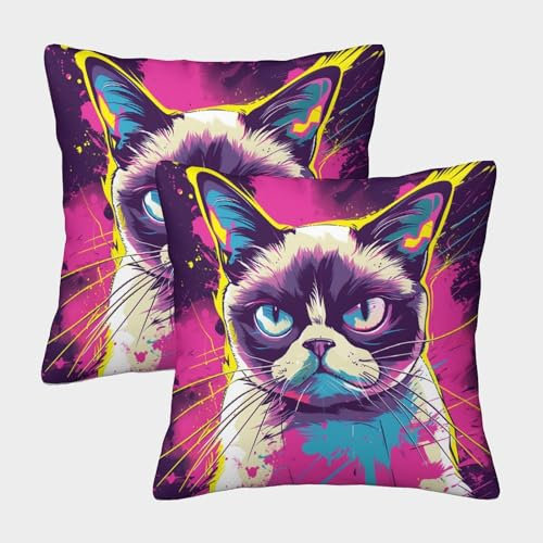 HMYIXING Grumpy Cat Kissenbezüge Dekokissen Kissenhülle Cartoon Animals 2 Stück Mit Reißverschluss Polyester Quadratisch Set Kissen Fall Für Sofa Auto Schlafzimmer Zuhause Dekor 50x50cm