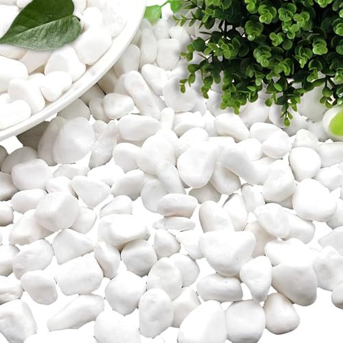 dellyy Decorativas Grava Blanca, 500g, Pequeñas Grava Blanca, Mini Piedras Decorativas, Pequeños Guijarros Blancos, Mini Canto Rodado Blanco, Pequeños Grava Blanca para Macetas, Jardines, Acuarios