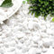 dellyy Decorativas Grava Blanca, 500g, Pequeñas Grava Blanca, Mini Piedras Decorativas, Pequeños Guijarros Blancos, Mini Canto Rodado Blanco, Pequeños Grava Blanca para Macetas, Jardines, Acuarios