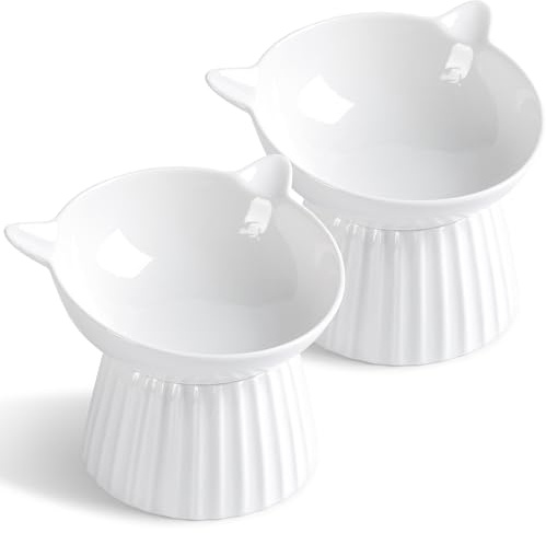 Raised Cat Bowls, Ceramic Elevated Cat Dishes and Feeding Bowls | Food Grade Material, Anti Vomiting, 15° Tilted, Whisker Friendly, Tall Cat Bowl ideal for Wet & Dry Food and Water, Pack of 2
