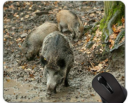 Lustiger Schwein-Entwurf Mousepad, Eber-Mausunterlage mit genähten Rändern