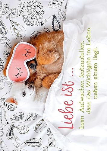 Gutsch Verlag Tierische Postkarte mit süßem Motiv: Schlafende Tiere und Zitat 'Liebe ist... beim Aufwachen festzustellen, dass das Wichtigste im Leben neben einem liegt.'