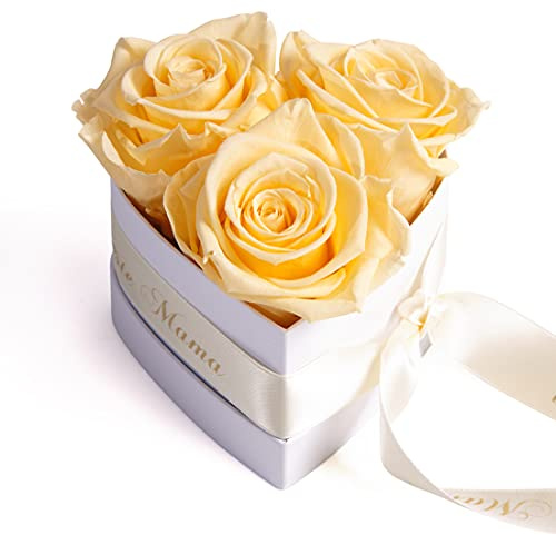 ROSEMARIE SCHULZ Heidelberg Für die Beste Mutter der Welt 3 konservierte Rosen Box Herz Geschenk zum Muttertag Blumen (Champagner, 3 Rosen Für die Beste Mama der Welt)