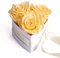 ROSEMARIE SCHULZ Heidelberg Für die Beste Mutter der Welt 3 konservierte Rosen Box Herz Geschenk zum Muttertag Blumen (Champagner, 3 Rosen Für die Beste Mama der Welt)