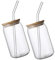 CHICAMPERA 2pezzi Bicchieri Con Cannuccia e Coperchio Per Bevande Fredde Per Succo Tè e Soda Design Elegante e Facile Da Pulire