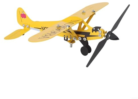 Girouette en métal style avion pour cour et jardin avec revêtement résistant à la rouille