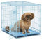 MidWest Homes for Pets Newly Enhanced Single Door iCrate 60.96 cm (24-Inch) Long Dog Crate, Includes Leak-Proof Pan, Floor Protecting Feet, Divider Panel & New Patented Features, Blue, Model 1524BL