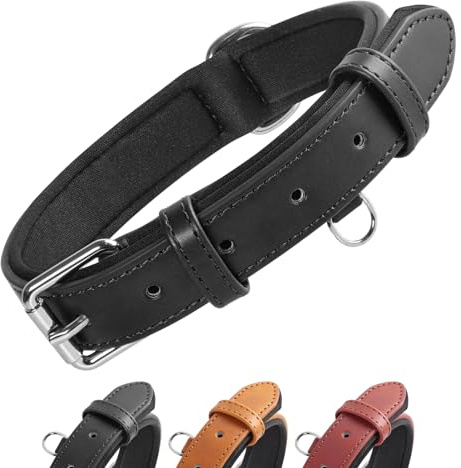 Grand Line Collier de Chien Ajustable Coussin Moelleux Cuir Rembourré avec Perforatrice 3 Couleur 4 Tailles, Noir(XS)