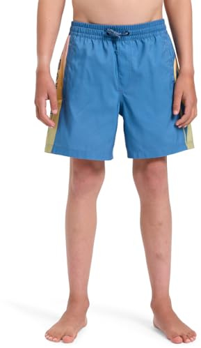 Quiksilver - Everyday Holmes Volley 14 Boardshorts - Kind