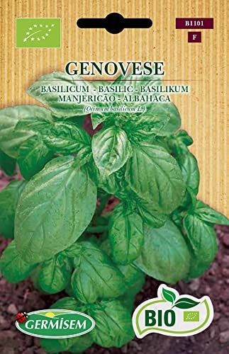 Germisem Orgánica Genovese Semillas de Albahaca 2 g
