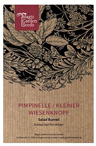 Pimpinella/Erba noce (Sanguisorba minor) - circa 50 semi