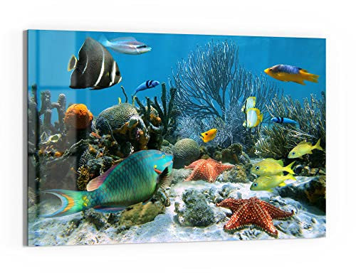 DEQORI Glasbild Echtglas | Motiv Regenwald der Meere | horizontal einteilig 90x60 cm | schöne Dekoration | Wandbild für Wohnzimmer, Schlafzimmer, Flur & Küche | moderne Wanddeko