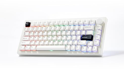 Akko Tastiera da gioco 5075 V3 nera su bianca, 75% VIA Multi-Mode Guarnizione Montaggio Tastiera Meccanica VIA Programmabile con RGB Retroilluminato Interruttore Rosa Gelo Sostituibile a caldo