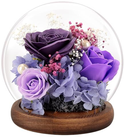 FAYODO Ewige Rose im Glas mit Licht, Konservierte Blumen als Geschenke für Frauen Mama Oma Freundin zum Valentinstag Muttertag Geburtstag Weihnachten Jahrestag Erntedankfest-lila