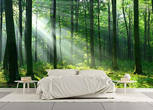 SILK ROAD EU™ Papier Peint Soie Panoramique 3D Forêt Trompe l'oeil, 400 × 280cm, Poster Geant Mural Personnalisé, Paysage Nature vert, pour Salon Chambre Chambre restaurant Décoration Murale