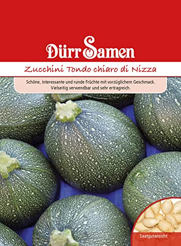 Zucchini Samen Tondo Runde Zucchinisamen Gemüsesamen 5 Korn Garten Hochbeet Balkon Saatgut Dürr Samen