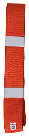 Lisaro kampfsportgürtel Karate Judo Taekwondo Ju Jutsu BJJ Gürtel Gr. 160-300 cm (orange, 220)